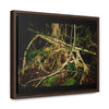 Rainforest Trails & Views - Gallery Canvas Wraps, Horizontal Frame - El Yunque National Forest - Puerto Rico - Tradewinds trail weird trees - Green Forest Home