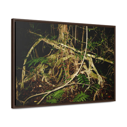 Rainforest Trails & Views - Gallery Canvas Wraps, Horizontal Frame - El Yunque National Forest - Puerto Rico - Tradewinds trail weird trees - Green Forest Home