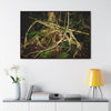 Rainforest Trails & Views - Gallery Canvas Wraps, Horizontal Frame - El Yunque National Forest - Puerto Rico - Tradewinds trail weird trees - Green Forest Home