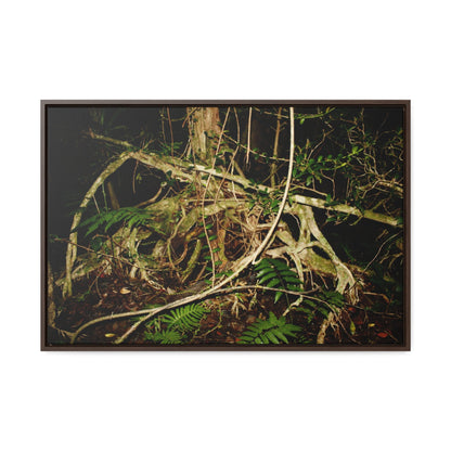 Rainforest Trails & Views - Gallery Canvas Wraps, Horizontal Frame - El Yunque National Forest - Puerto Rico - Tradewinds trail weird trees - Green Forest Home