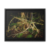 Rainforest Trails & Views - Gallery Canvas Wraps, Horizontal Frame - El Yunque National Forest - Puerto Rico - Tradewinds trail weird trees - Green Forest Home
