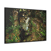 Rainforest Trails & Views - Gallery Canvas Wraps, Horizontal Frame - El Yunque National Forest - Puerto Rico - Tradewinds where streams begin - Green Forest Home