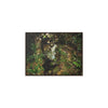 Rainforest Trails & Views - Gallery Canvas Wraps, Horizontal Frame - El Yunque National Forest - Puerto Rico - Tradewinds where streams begin - Green Forest Home