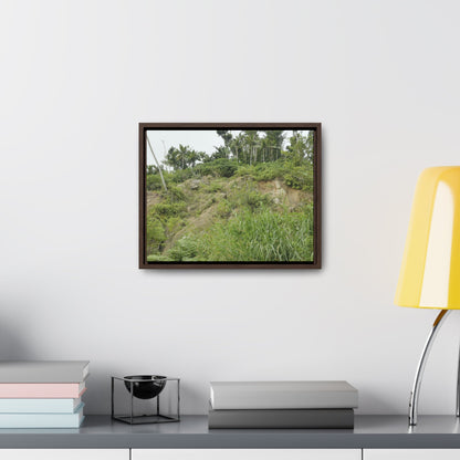 Rainforest Trails & Views - Gallery Canvas Wraps, Horizontal Frame - El Yunque National Forest - Puerto Rico - Tropical plant Heliconia - Green Forest Home
