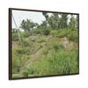Rainforest Trails & Views - Gallery Canvas Wraps, Horizontal Frame - El Yunque National Forest - Puerto Rico - Tropical plant Heliconia - Green Forest Home