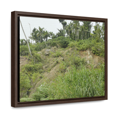 Rainforest Trails & Views - Gallery Canvas Wraps, Horizontal Frame - El Yunque National Forest - Puerto Rico - Tropical plant Heliconia - Green Forest Home