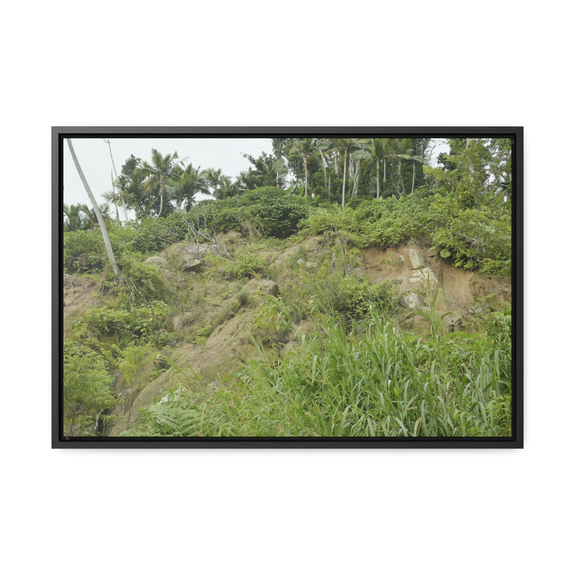 Rainforest Trails & Views - Gallery Canvas Wraps, Horizontal Frame - El Yunque National Forest - Puerto Rico - Tropical plant Heliconia - Green Forest Home