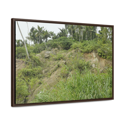 Rainforest Trails & Views - Gallery Canvas Wraps, Horizontal Frame - El Yunque National Forest - Puerto Rico - Tropical plant Heliconia - Green Forest Home