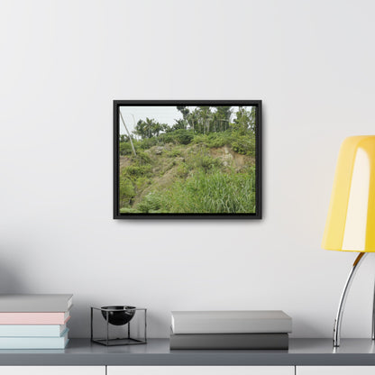 Rainforest Trails & Views - Gallery Canvas Wraps, Horizontal Frame - El Yunque National Forest - Puerto Rico - Tropical plant Heliconia - Green Forest Home