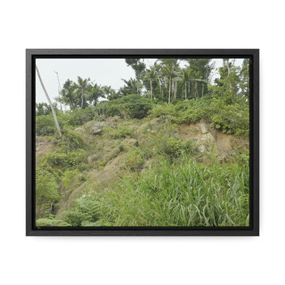 Rainforest Trails & Views - Gallery Canvas Wraps, Horizontal Frame - El Yunque National Forest - Puerto Rico - Tropical plant Heliconia - Green Forest Home