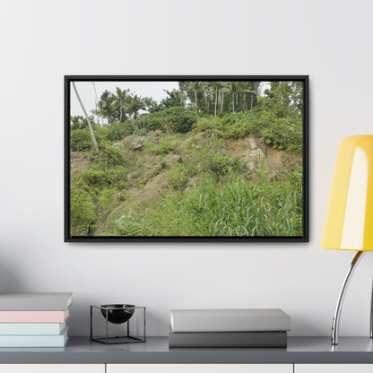 Rainforest Trails & Views - Gallery Canvas Wraps, Horizontal Frame - El Yunque National Forest - Puerto Rico - Tropical plant Heliconia - Green Forest Home