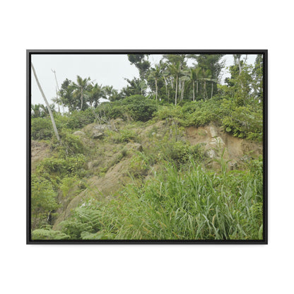 Rainforest Trails & Views - Gallery Canvas Wraps, Horizontal Frame - El Yunque National Forest - Puerto Rico - Tropical plant Heliconia - Green Forest Home