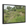 Rainforest Trails & Views - Gallery Canvas Wraps, Horizontal Frame - El Yunque National Forest - Puerto Rico - Tropical plant Heliconia - Green Forest Home