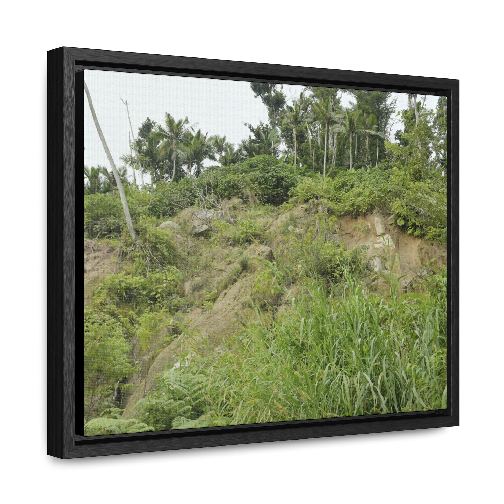 Rainforest Trails & Views - Gallery Canvas Wraps, Horizontal Frame - El Yunque National Forest - Puerto Rico - Tropical plant Heliconia - Green Forest Home