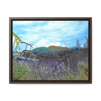 Rainforest Trails & Views - Gallery Canvas Wraps, Horizontal Frame - El Yunque National Forest - Puerto Rico - Upper Rio Sabana Trail View - color enhanced - Green Forest Home