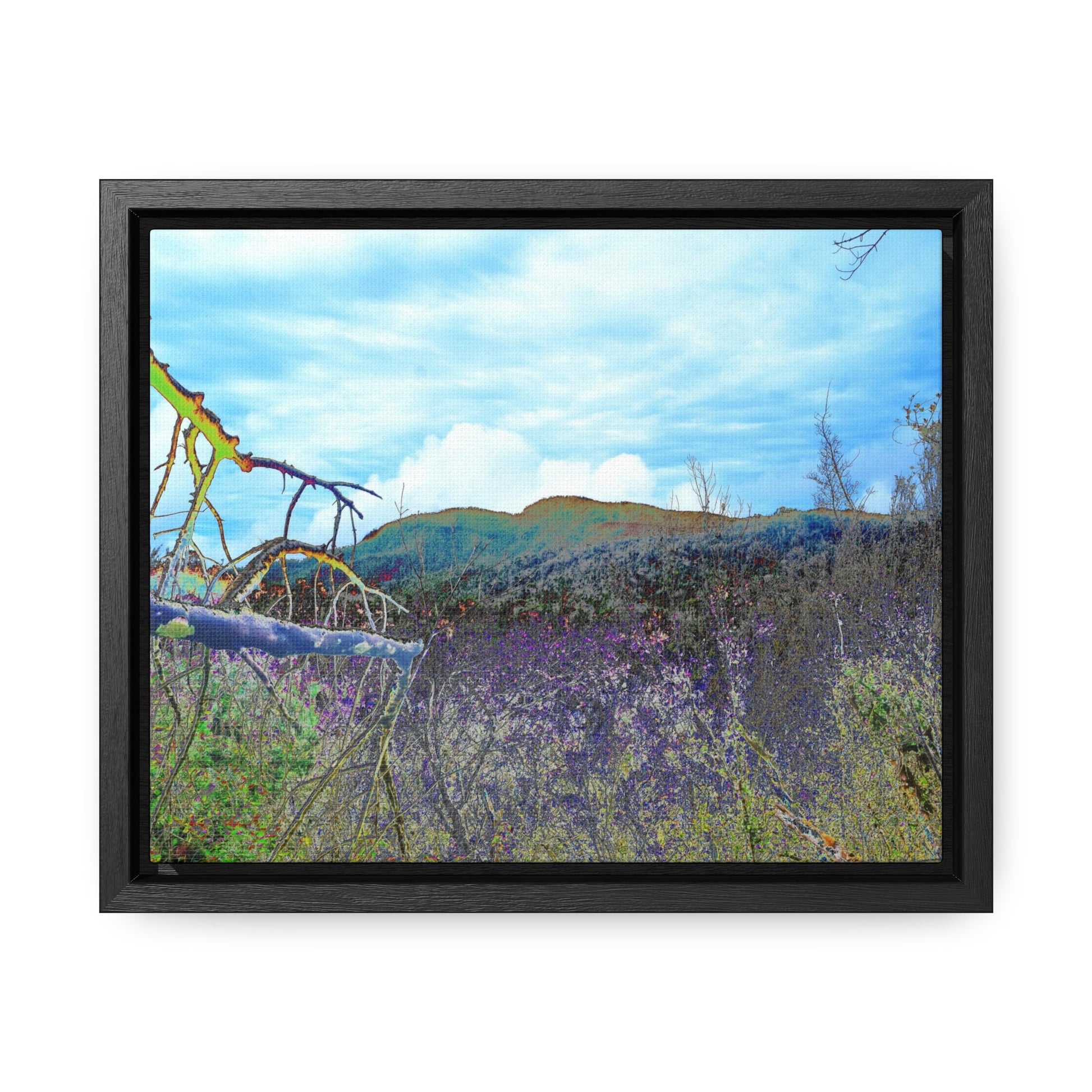 Rainforest Trails & Views - Gallery Canvas Wraps, Horizontal Frame - El Yunque National Forest - Puerto Rico - Upper Rio Sabana Trail View - color enhanced - Green Forest Home