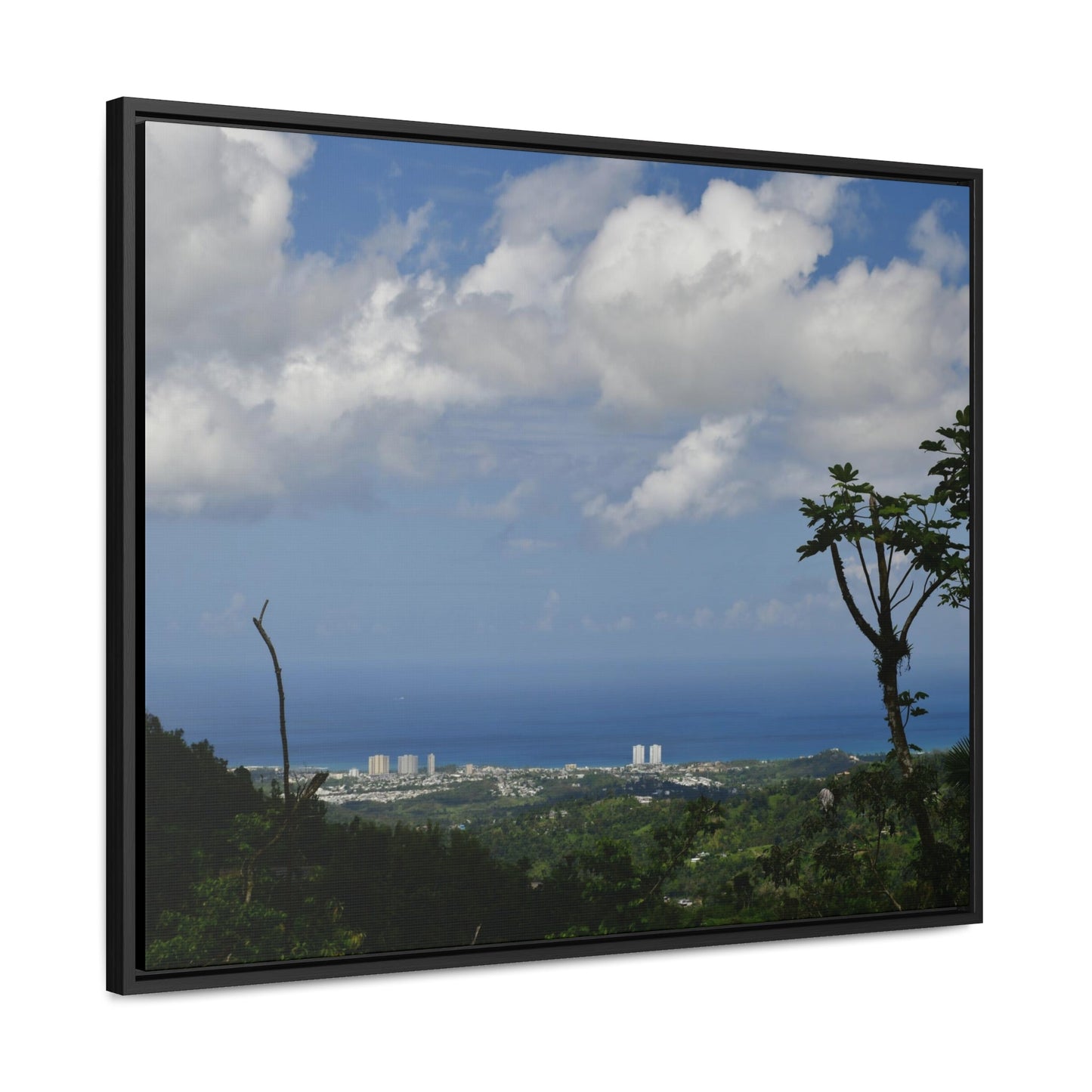 Rainforest Trails & Views - Gallery Canvas Wraps, Horizontal Frame - El Yunque National Forest - Puerto Rico - Urbanization gets closer to EYNF - Luquillo beach coast & buildings - Green Forest Home