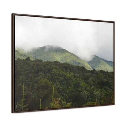 Rainforest Trails & Views - Gallery Canvas Wraps, Horizontal Frame - El Yunque National Forest - Puerto Rico - View from Closed PR191 road - Green Forest Home