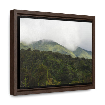 Rainforest Trails & Views - Gallery Canvas Wraps, Horizontal Frame - El Yunque National Forest - Puerto Rico - View from Closed PR191 road - Green Forest Home