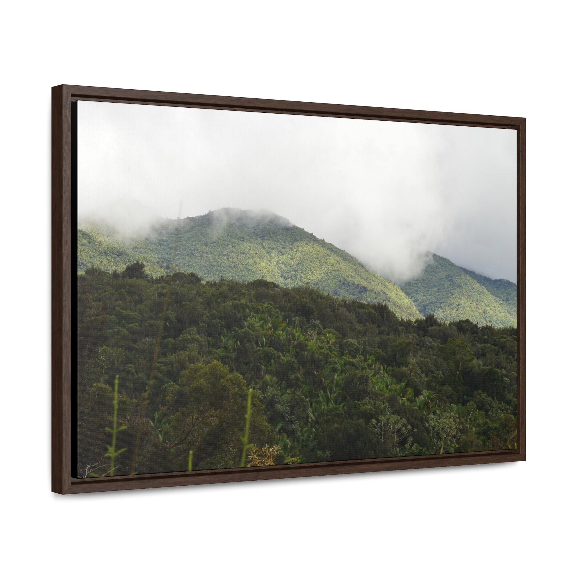 Rainforest Trails & Views - Gallery Canvas Wraps, Horizontal Frame - El Yunque National Forest - Puerto Rico - View from Closed PR191 road - Green Forest Home