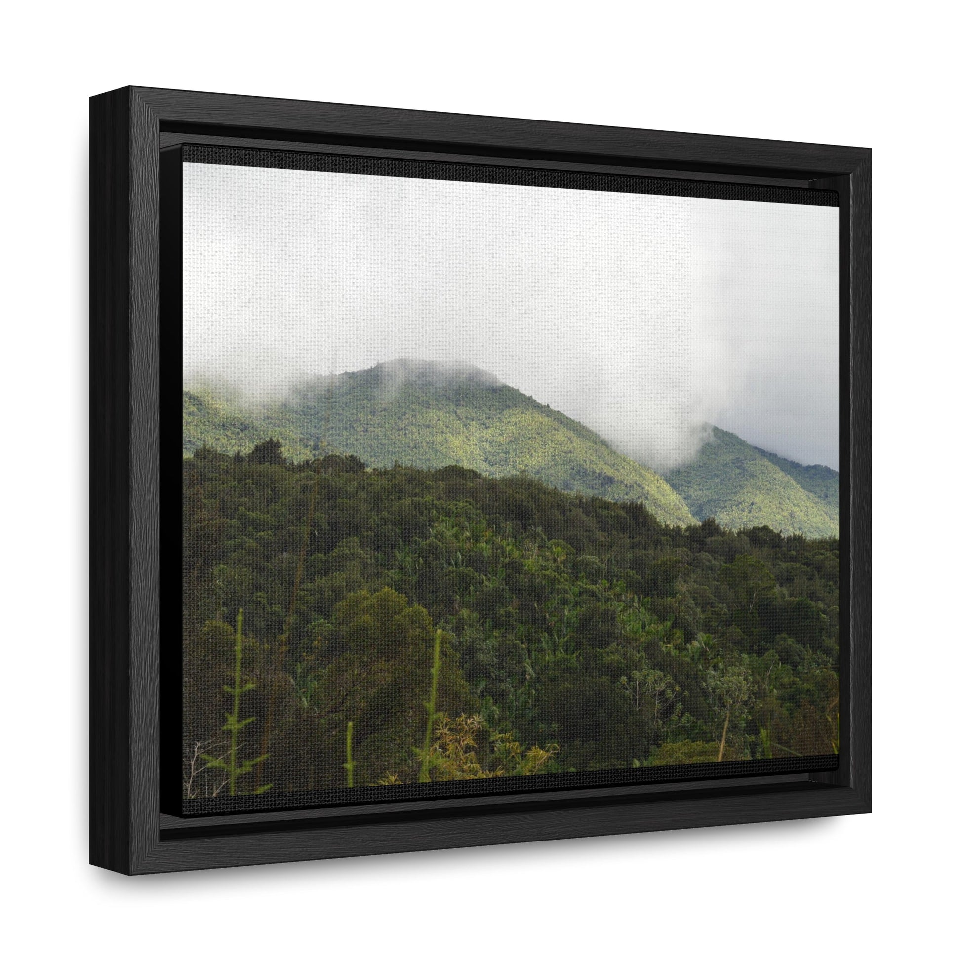 Rainforest Trails & Views - Gallery Canvas Wraps, Horizontal Frame - El Yunque National Forest - Puerto Rico - View from Closed PR191 road - Green Forest Home