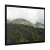 Rainforest Trails & Views - Gallery Canvas Wraps, Horizontal Frame - El Yunque National Forest - Puerto Rico - View from Closed PR191 road - Green Forest Home