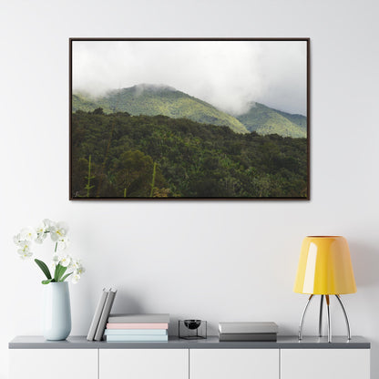 Rainforest Trails & Views - Gallery Canvas Wraps, Horizontal Frame - El Yunque National Forest - Puerto Rico - View from Closed PR191 road - Green Forest Home
