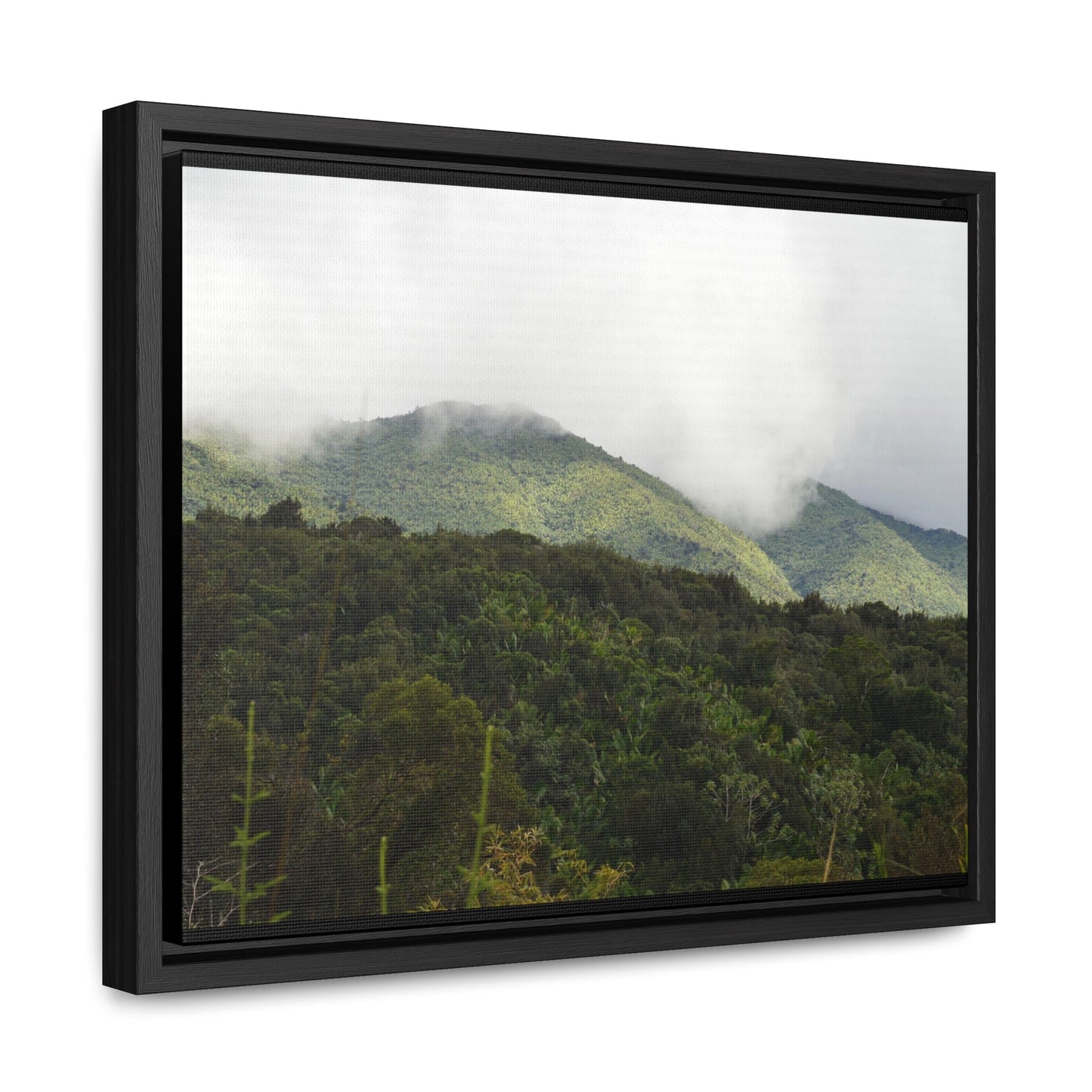 Rainforest Trails & Views - Gallery Canvas Wraps, Horizontal Frame - El Yunque National Forest - Puerto Rico - View from Closed PR191 road - Green Forest Home