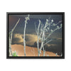 Rainforest Trails & Views - Gallery Canvas Wraps, Horizontal Frame - El Yunque National Forest - Puerto Rico - View from Cubuy of El Yunque and parrots on tree - color enhanced due to sunset - Green Forest Home