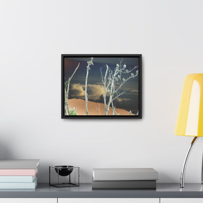 Rainforest Trails & Views - Gallery Canvas Wraps, Horizontal Frame - El Yunque National Forest - Puerto Rico - View from Cubuy of El Yunque and parrots on tree - color enhanced due to sunset - Green Forest Home