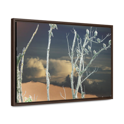 Rainforest Trails & Views - Gallery Canvas Wraps, Horizontal Frame - El Yunque National Forest - Puerto Rico - View from Cubuy of El Yunque and parrots on tree - color enhanced due to sunset - Green Forest Home