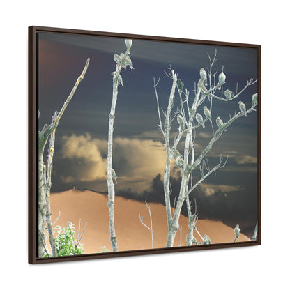 Rainforest Trails & Views - Gallery Canvas Wraps, Horizontal Frame - El Yunque National Forest - Puerto Rico - View from Cubuy of El Yunque and parrots on tree - color enhanced due to sunset - Green Forest Home