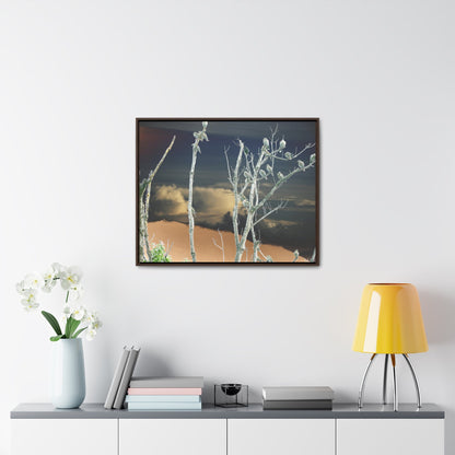 Rainforest Trails & Views - Gallery Canvas Wraps, Horizontal Frame - El Yunque National Forest - Puerto Rico - View from Cubuy of El Yunque and parrots on tree - color enhanced due to sunset - Green Forest Home