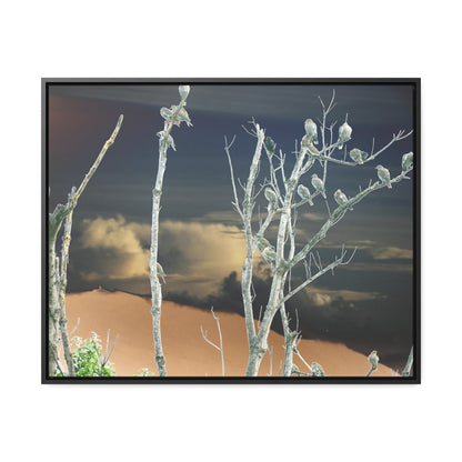 Rainforest Trails & Views - Gallery Canvas Wraps, Horizontal Frame - El Yunque National Forest - Puerto Rico - View from Cubuy of El Yunque and parrots on tree - color enhanced due to sunset - Green Forest Home