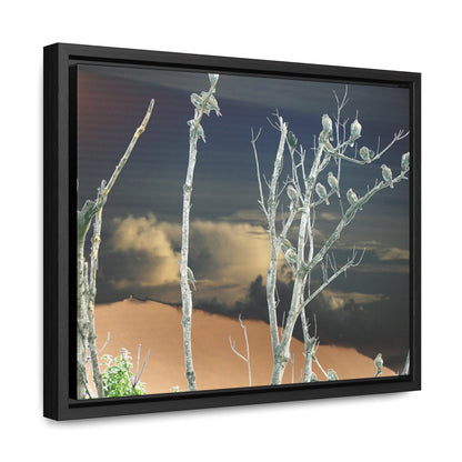 Rainforest Trails & Views - Gallery Canvas Wraps, Horizontal Frame - El Yunque National Forest - Puerto Rico - View from Cubuy of El Yunque and parrots on tree - color enhanced due to sunset - Green Forest Home