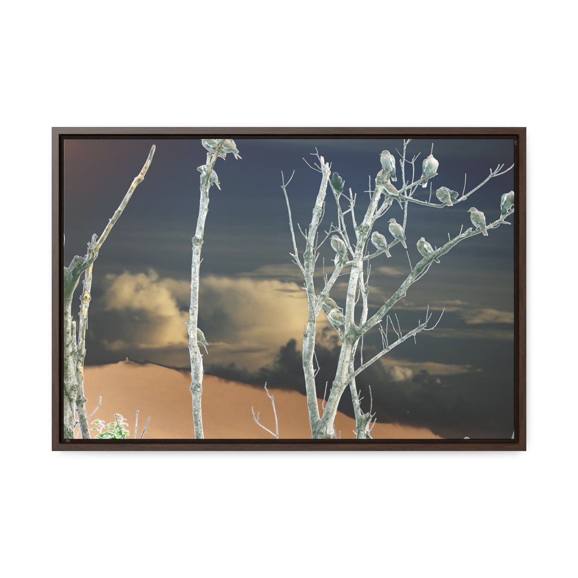 Rainforest Trails & Views - Gallery Canvas Wraps, Horizontal Frame - El Yunque National Forest - Puerto Rico - View from Cubuy of El Yunque and parrots on tree - color enhanced due to sunset - Green Forest Home