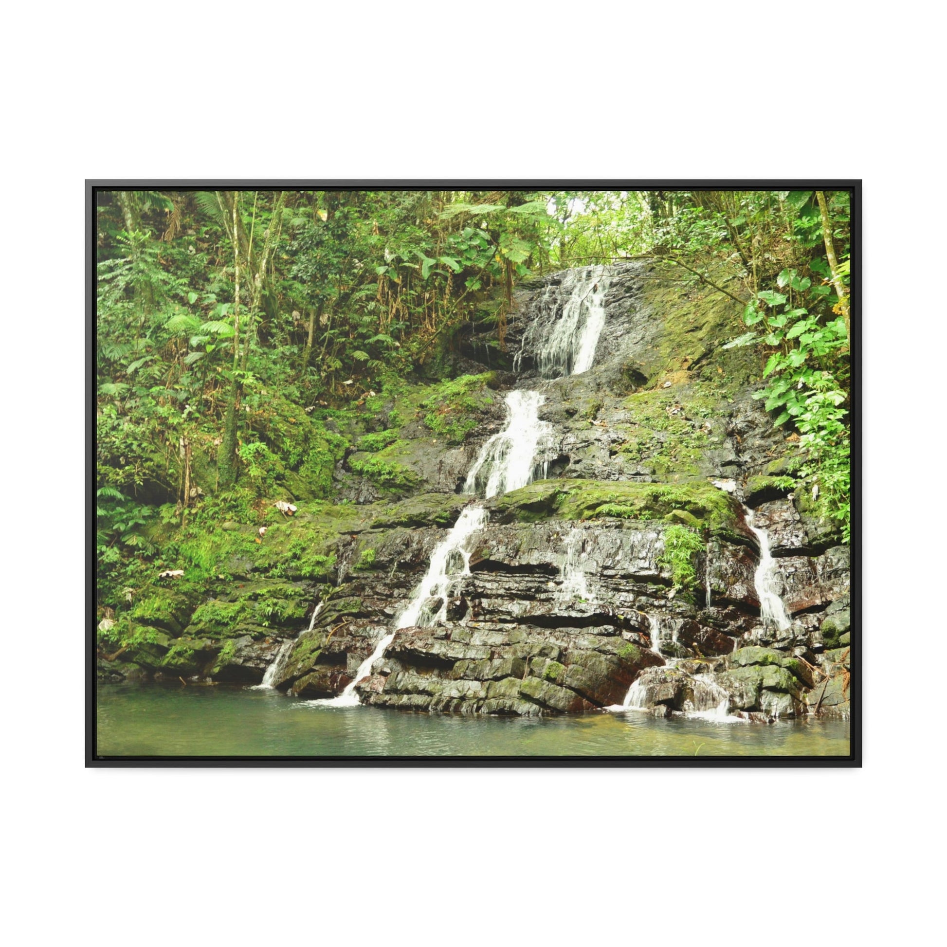 Rainforest Trails & Views - Gallery Canvas Wraps, Horizontal Frame - El Yunque National Forest - Puerto Rico - View from La Coca Trail - Green Forest Home
