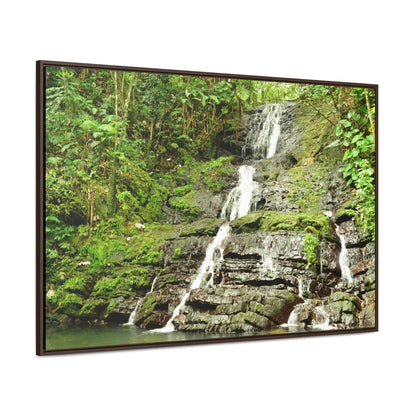 Rainforest Trails & Views - Gallery Canvas Wraps, Horizontal Frame - El Yunque National Forest - Puerto Rico - View from La Coca Trail - Green Forest Home