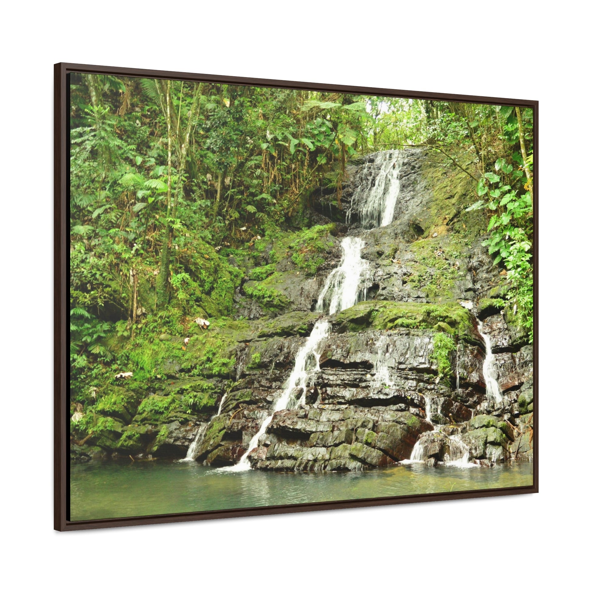 Rainforest Trails & Views - Gallery Canvas Wraps, Horizontal Frame - El Yunque National Forest - Puerto Rico - View from La Coca Trail - Green Forest Home