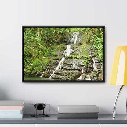 Rainforest Trails & Views - Gallery Canvas Wraps, Horizontal Frame - El Yunque National Forest - Puerto Rico - View from La Coca Trail - Green Forest Home