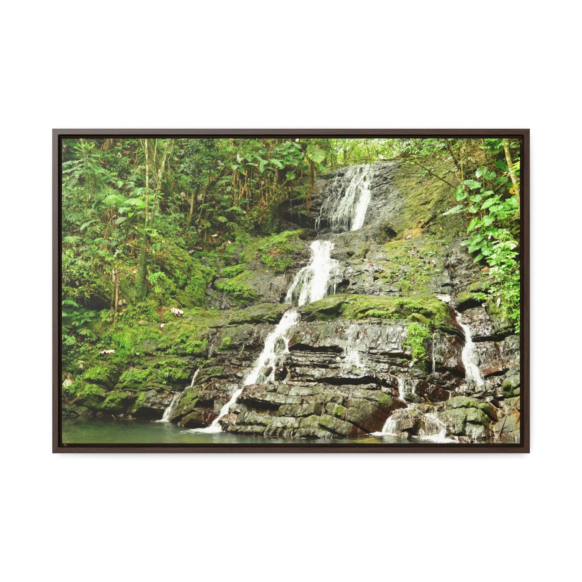 Rainforest Trails & Views - Gallery Canvas Wraps, Horizontal Frame - El Yunque National Forest - Puerto Rico - View from La Coca Trail - Green Forest Home