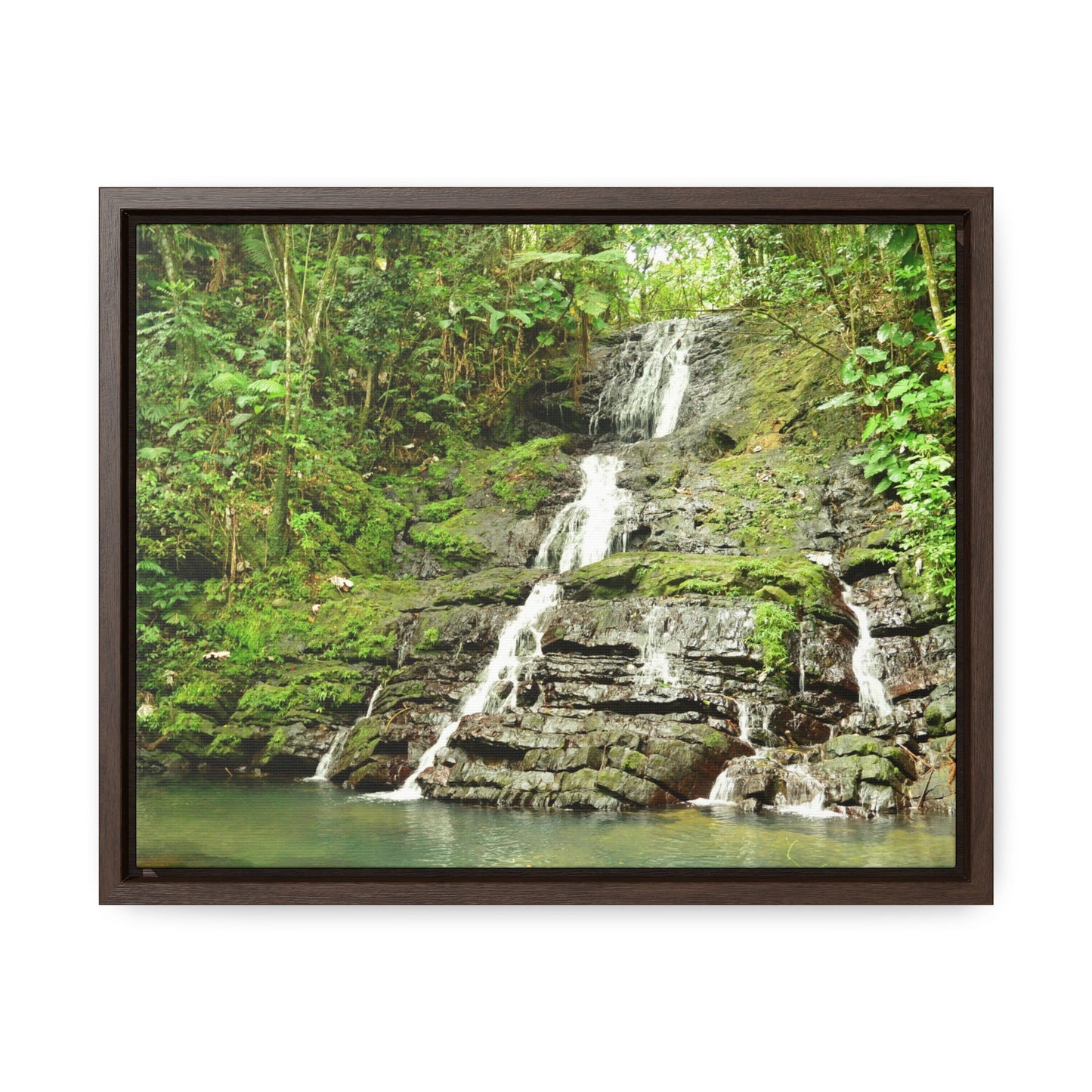 Rainforest Trails & Views - Gallery Canvas Wraps, Horizontal Frame - El Yunque National Forest - Puerto Rico - View from La Coca Trail - Green Forest Home