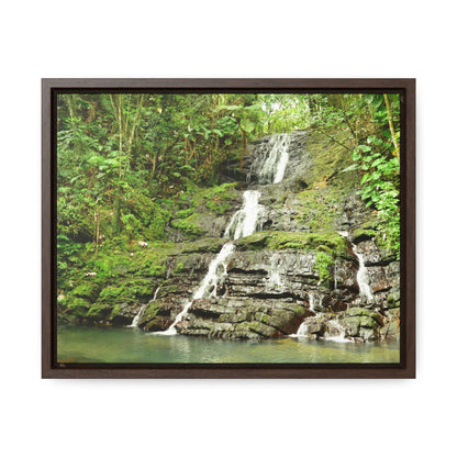 Rainforest Trails & Views - Gallery Canvas Wraps, Horizontal Frame - El Yunque National Forest - Puerto Rico - View from La Coca Trail - Green Forest Home