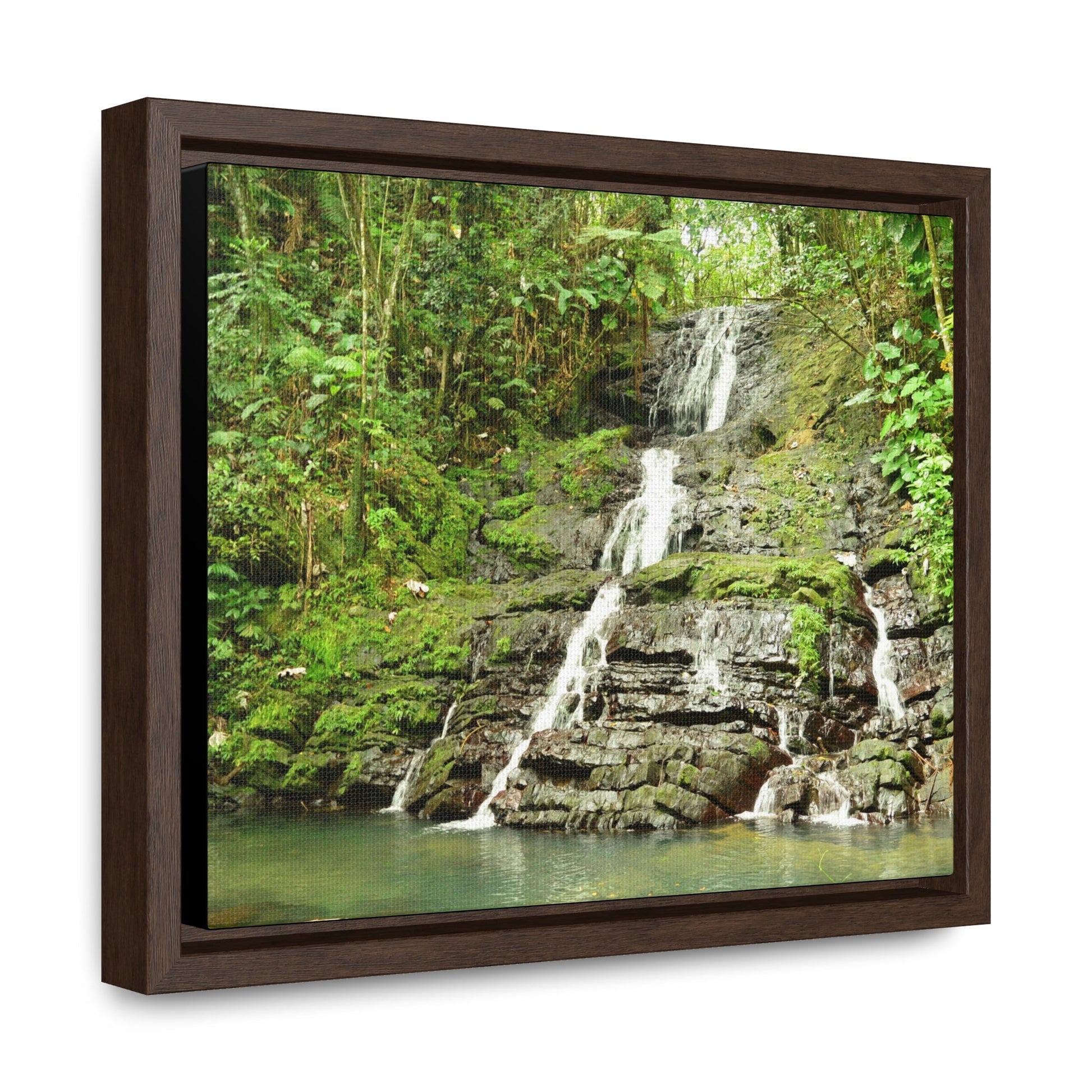Rainforest Trails & Views - Gallery Canvas Wraps, Horizontal Frame - El Yunque National Forest - Puerto Rico - View from La Coca Trail - Green Forest Home