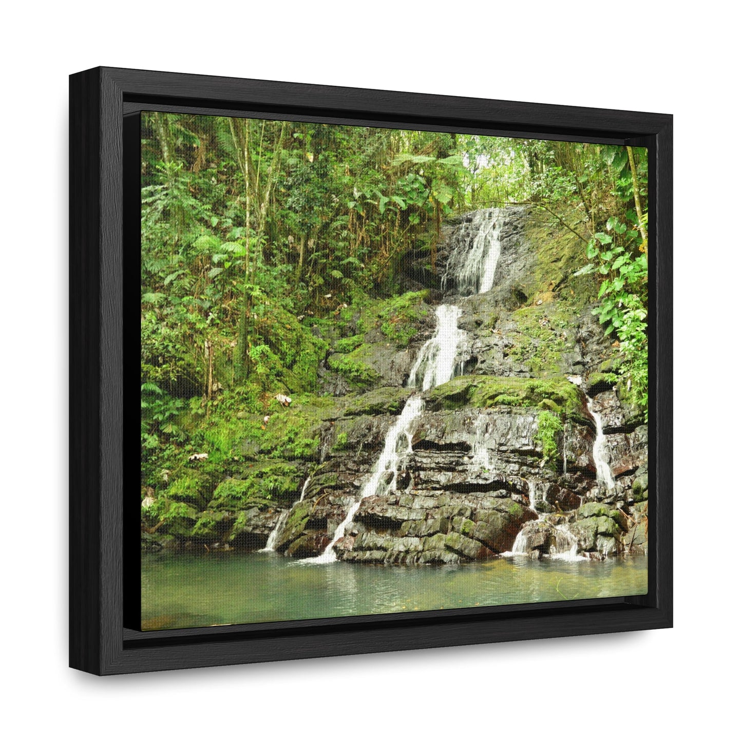 Rainforest Trails & Views - Gallery Canvas Wraps, Horizontal Frame - El Yunque National Forest - Puerto Rico - View from La Coca Trail - Green Forest Home