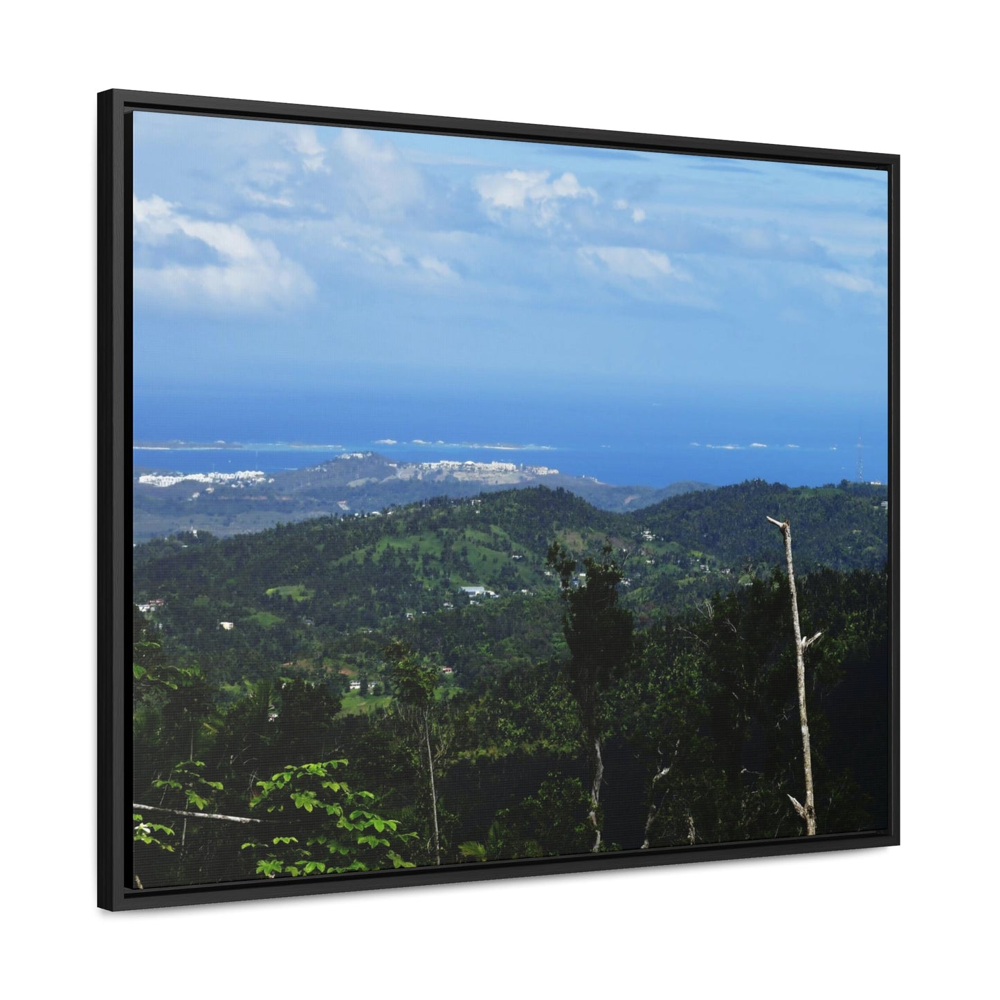 Rainforest Trails & Views - Gallery Canvas Wraps, Horizontal Frame - El Yunque National Forest - Puerto Rico - View from PR191 - Atlantic Ocean view - Green Forest Home