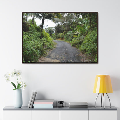 Rainforest Trails & Views - Gallery Canvas Wraps, Horizontal Frame - El Yunque National Forest - Puerto Rico - View from PR191 closed forest road - Green Forest Home