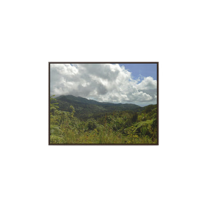 Rainforest Trails & Views - Gallery Canvas Wraps, Horizontal Frame - El Yunque National Forest - Puerto Rico - View from PR191 closed forest road - Green Forest Home