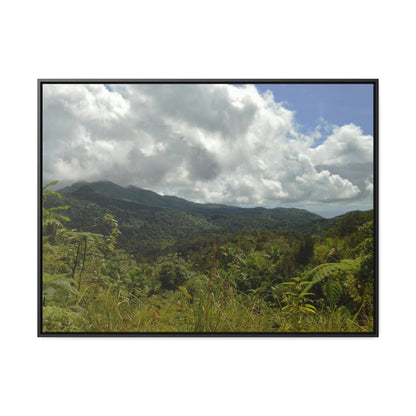 Rainforest Trails & Views - Gallery Canvas Wraps, Horizontal Frame - El Yunque National Forest - Puerto Rico - View from PR191 closed forest road - Green Forest Home