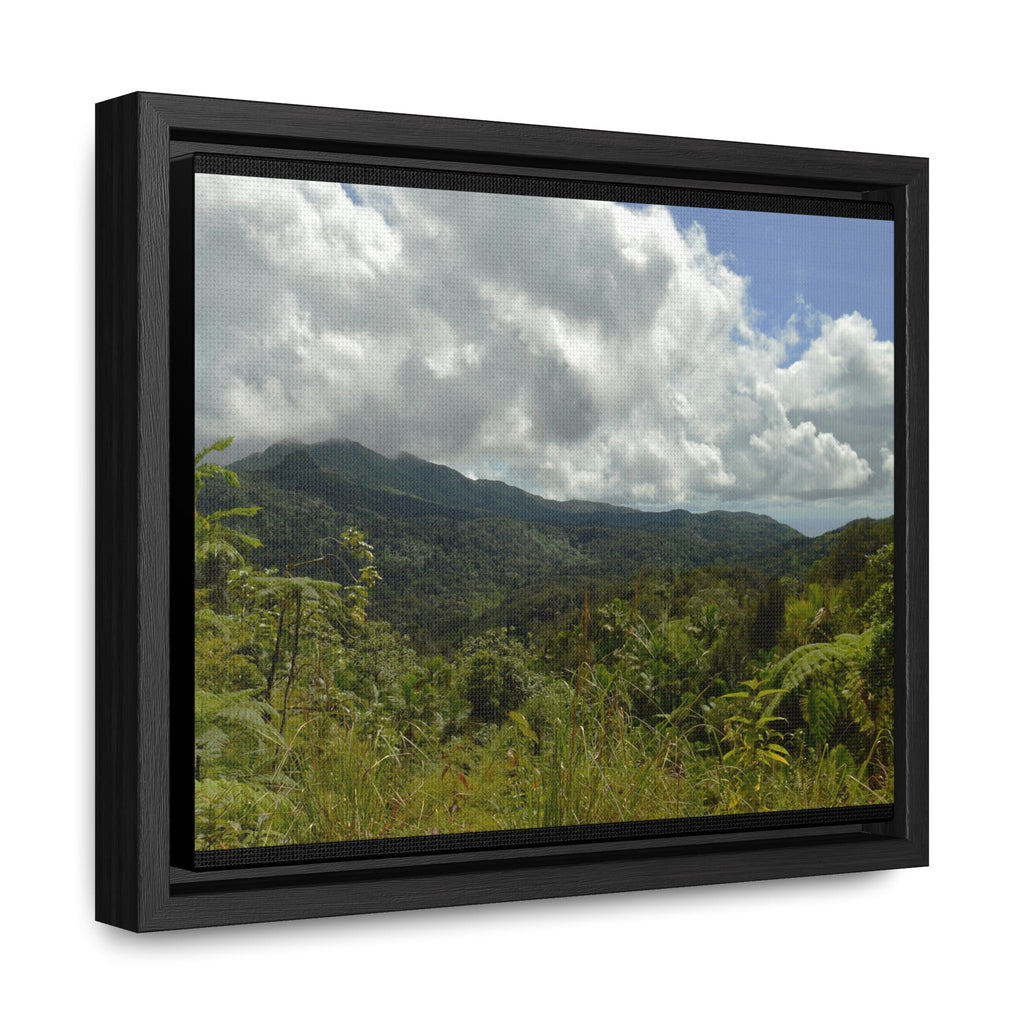 Rainforest Trails & Views - Gallery Canvas Wraps, Horizontal Frame - El Yunque National Forest - Puerto Rico - View from PR191 closed forest road - Green Forest Home